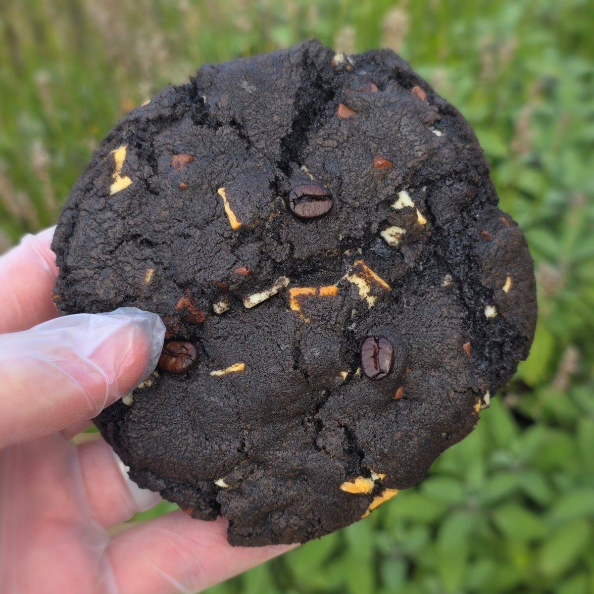 Mocha cookie